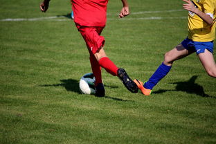 开云体育登陆入口-NBA球员训练计划个性化设计，nba球员训练视频,篮球技术